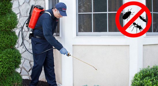 Mutki Fare İlaçlama böcek ilaçlama ve haşere kontrolü — ilaclama-tr.com